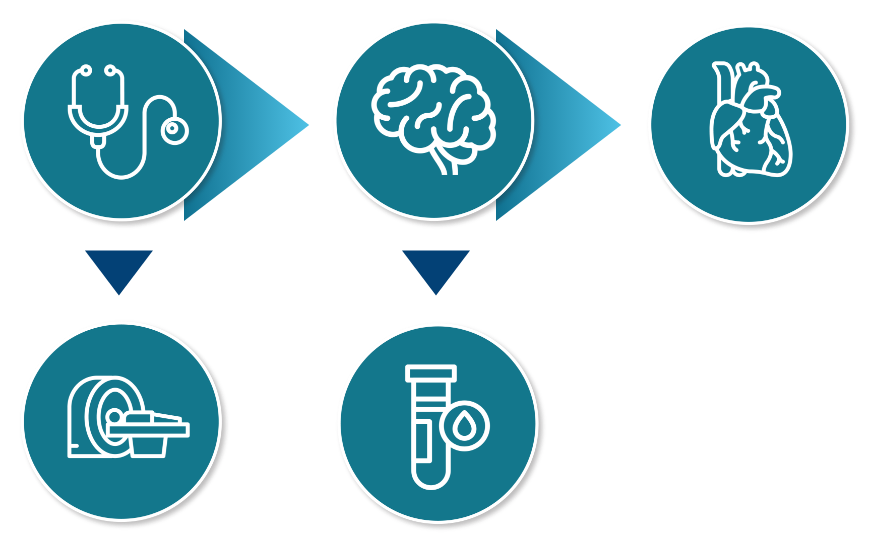 Complex neurological assessment and recommendations