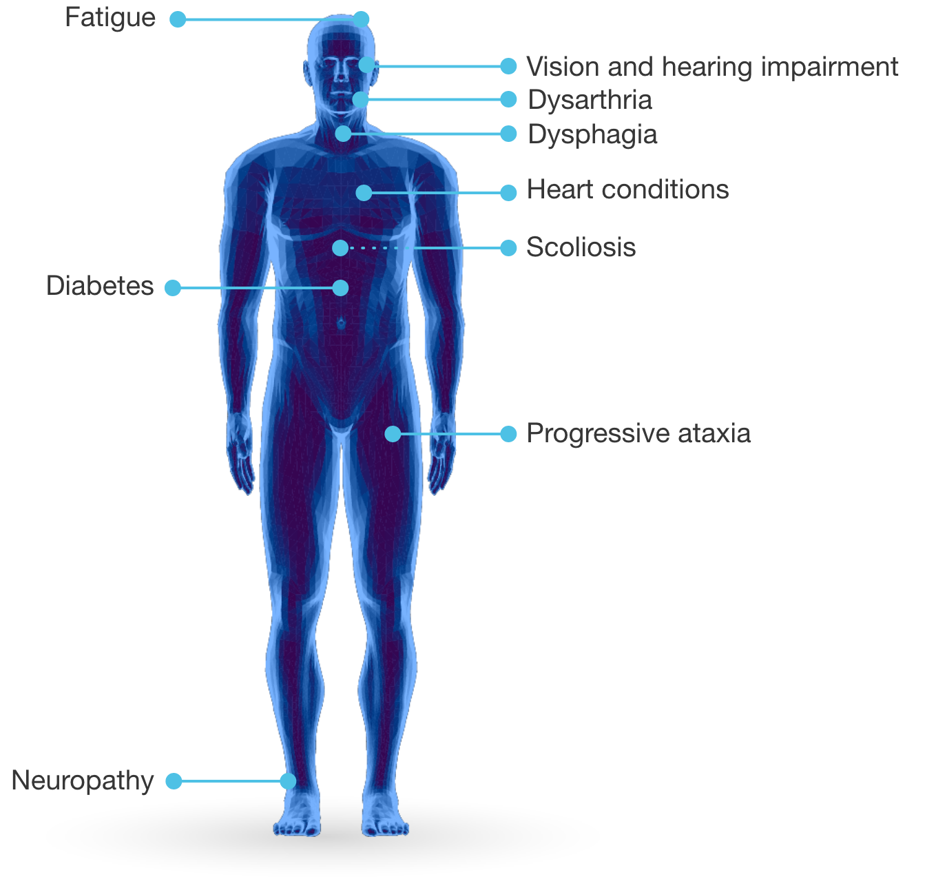 Illustration of a body with the signs and
symptoms of Friedreich’s ataxia labeled: fatigue,
vision and hearing impairment, dysarthria,
dysphagia, heart conditions, scoliosis, diabetes,
progressive ataxia, and neuropathy.