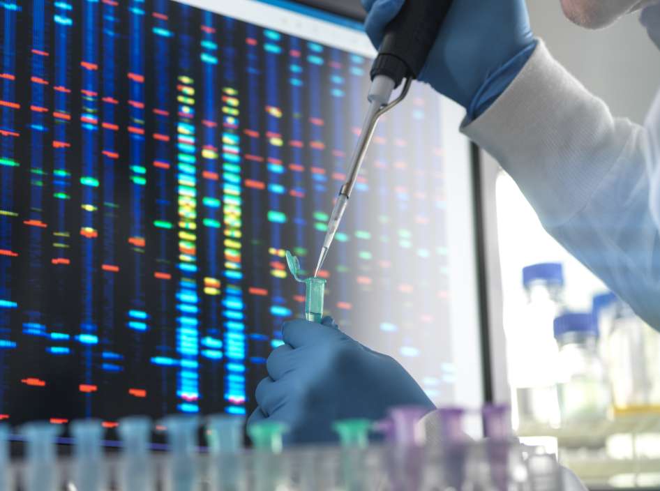 A clinician conducting genetic testing.