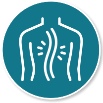 An icon of a curved spine, depicting scoliosis.