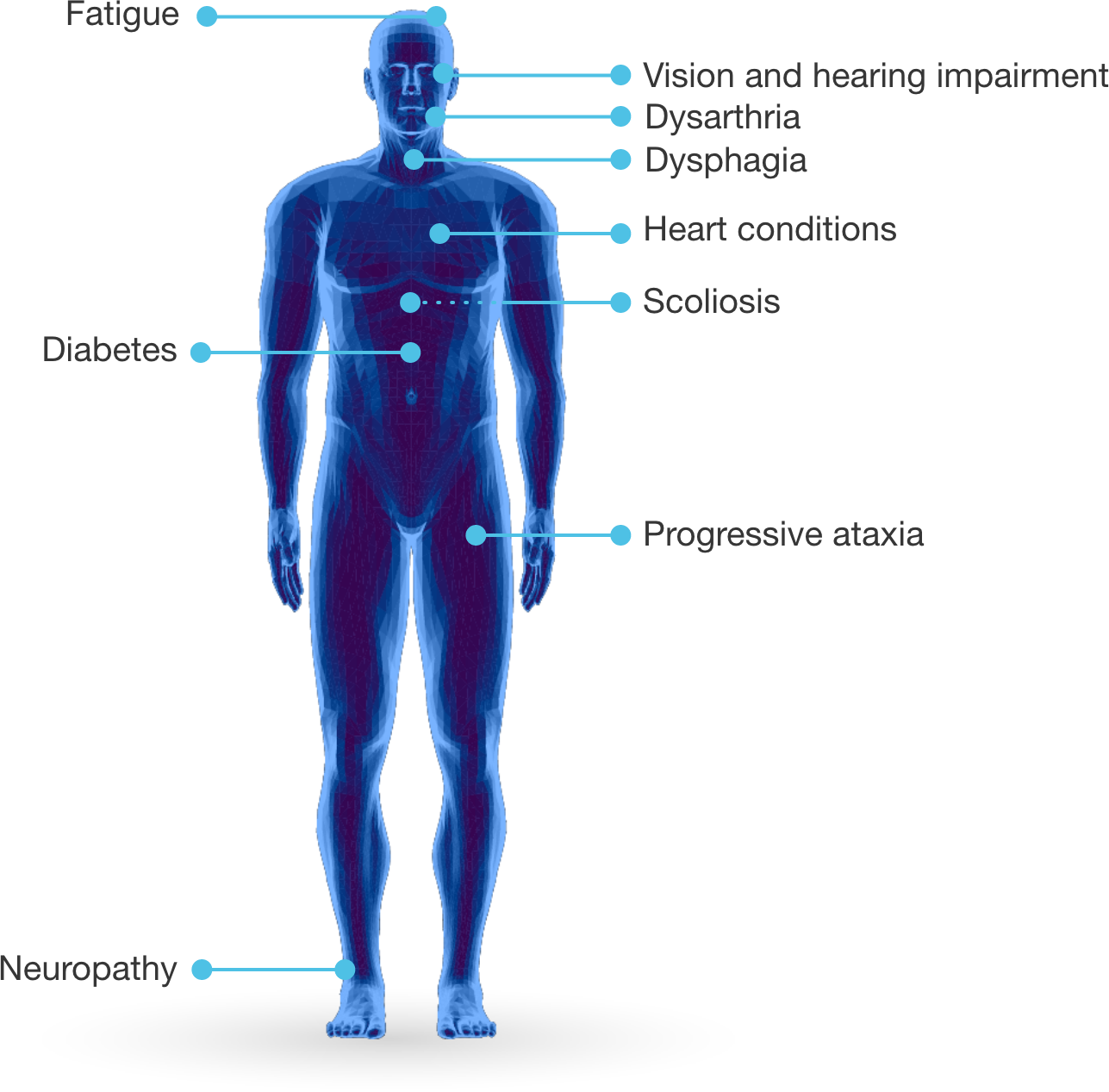 A photo of cells circulating in the body against a purple-blue background. An illustration of mitochondrial damage due to frataxin deficiency.
